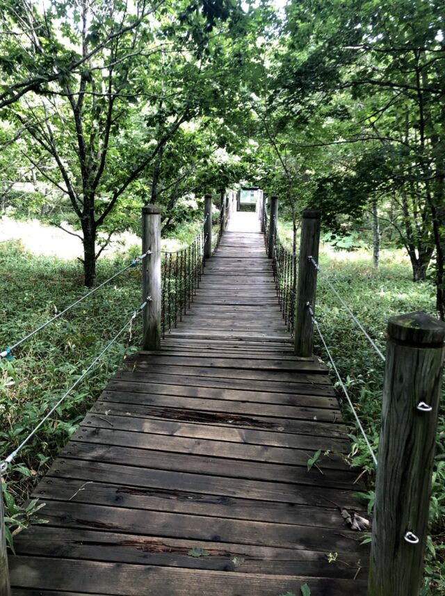 北斗展望台からの湿原