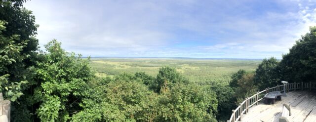 湿原の眺望