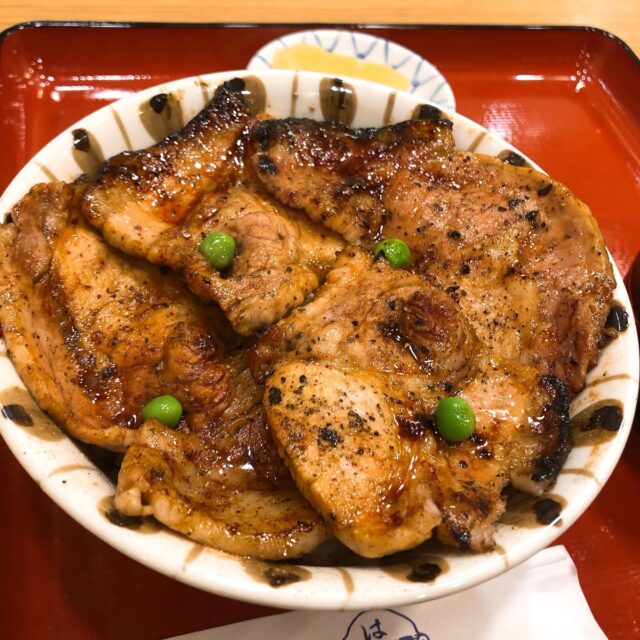豚丼アップ