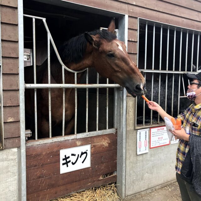 にんじんエサやり