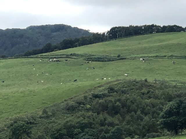 ナイタイテラス