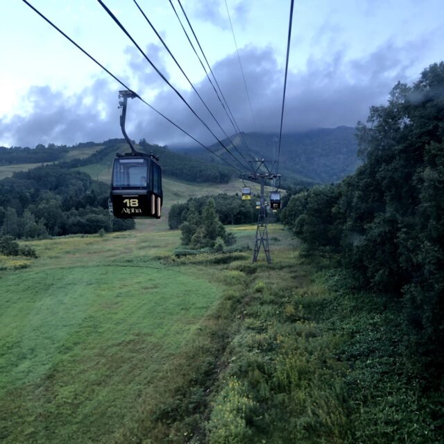 ゴンドラからの景色