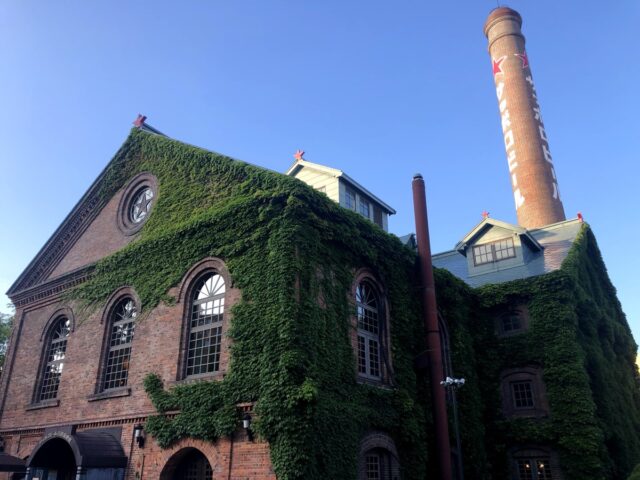 ビール飲み比べ