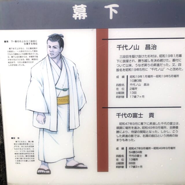 千代の富士記念館の力士解説