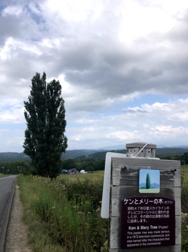 ケンとメリーの木看板