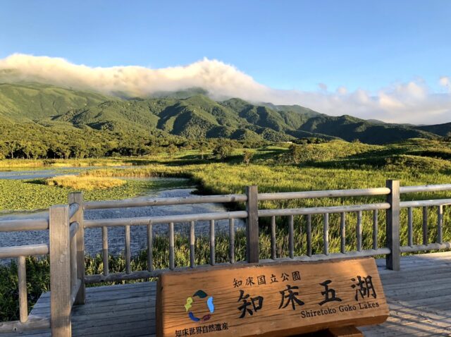 知床五湖の湖面
