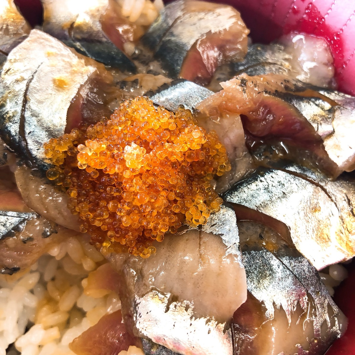 鈴木食堂 とびっこアップ