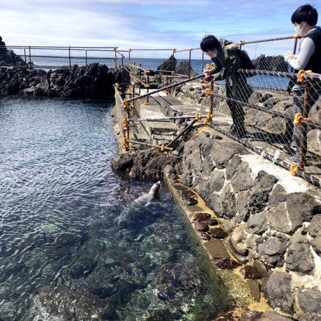 利尻富士と海岸